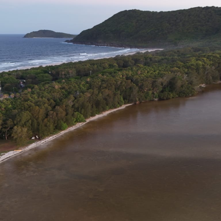 Efficiency and Precision in Spraying. Comprehensive, Independent Service. Drone Aerial Surveys & Mapping, Drone Spreading & Seeding, Drone Spraying